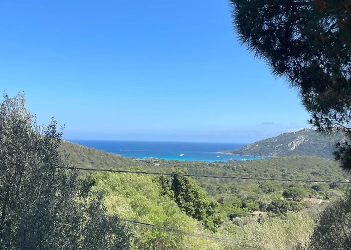 Dolce Corsica *