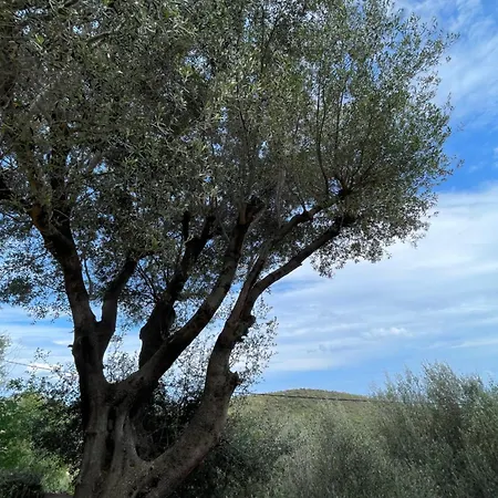 Dolce Corsica Holiday home