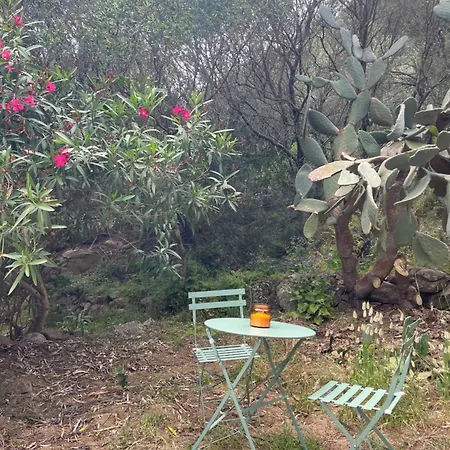 Dolce Corsica 度假居